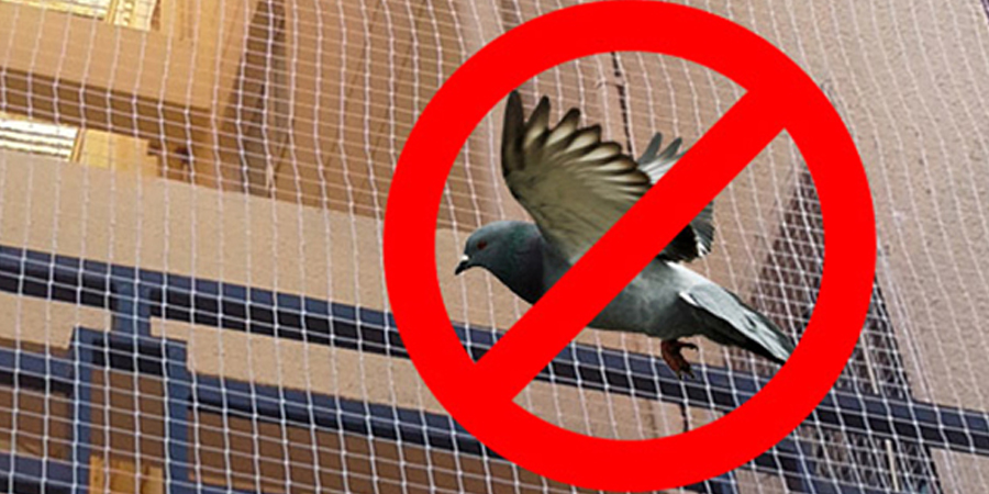 Pigeon Safety Nets In Moosapet